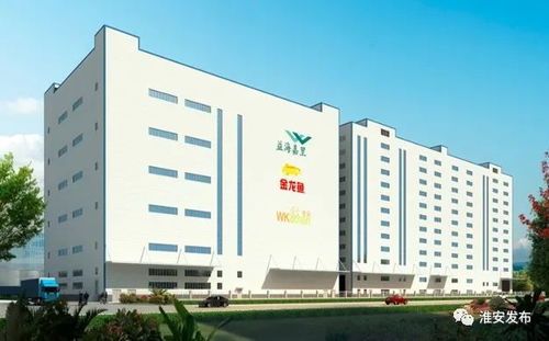 貫徹落實(shí)黨代會(huì)精神丨益海嘉里糧油深加工項(xiàng)目 助力我市打造國家級(jí)食品產(chǎn)業(yè)園