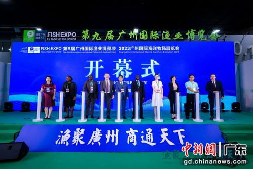 廣州國際漁博會集中呈現(xiàn)全品類水產(chǎn) 生猛海鮮亮相