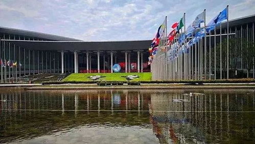 與世界共享農業(yè)未來 世界農產(chǎn)品點亮中國進博會